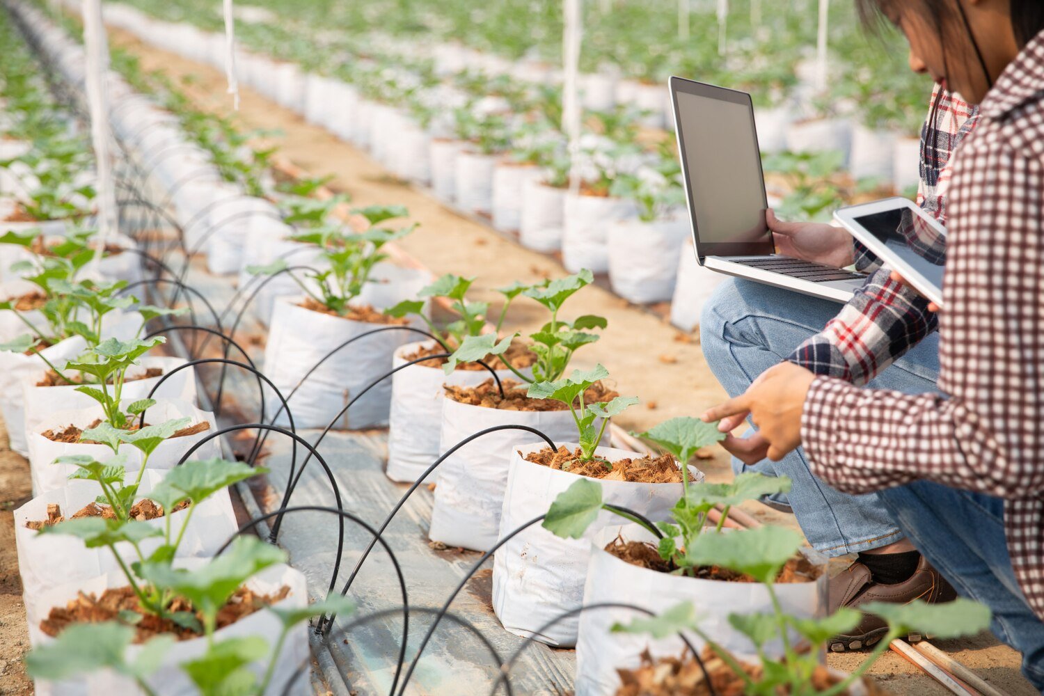 Agriculture Technology Solutions