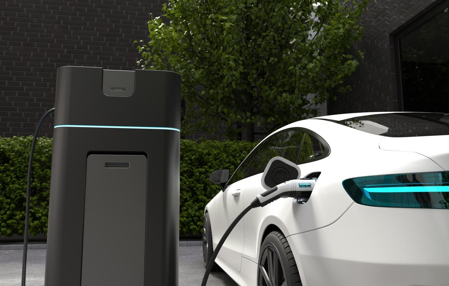 Electric Vehicle (EV)